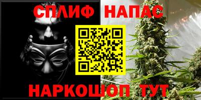 прущие грибы Бугуруслан