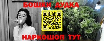 прущие грибы Бугуруслан