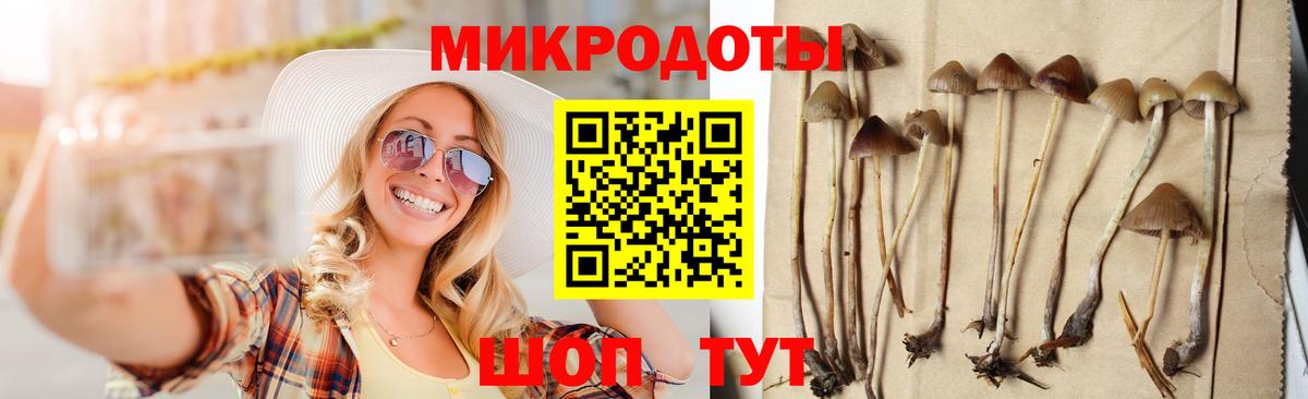 Галлюциногенные грибы Psilocybe Октябрьский