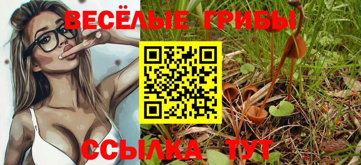 Октябрьский  Псилоцибиновые грибы MAGIC MUSHROOMS  Вход с VPN 